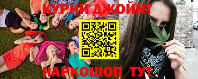 гашик Гусев